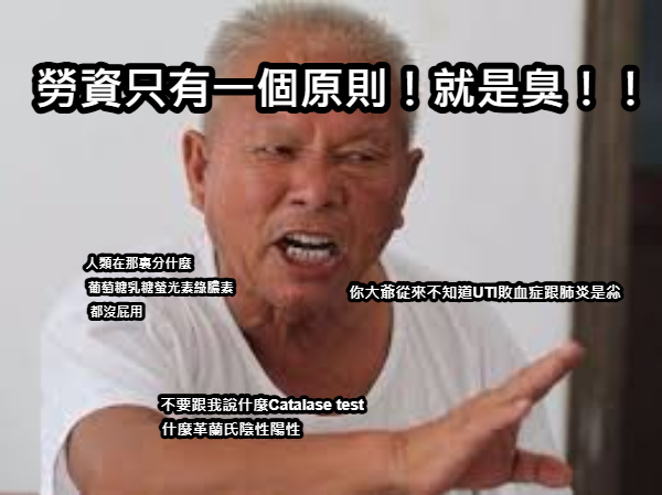 132391404669f20a1755adc6.39079851-325590.png