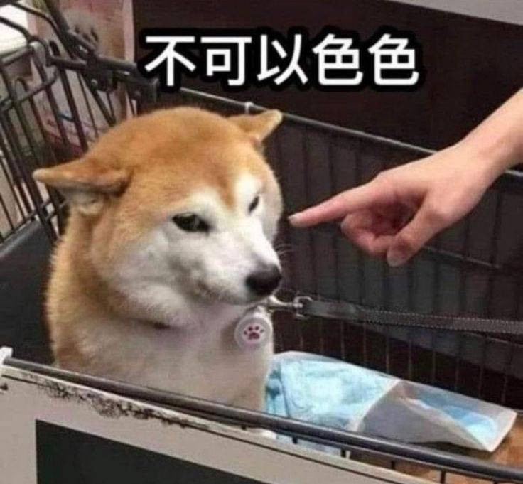 17420578136a226913d74630.14037670-330644.jpeg