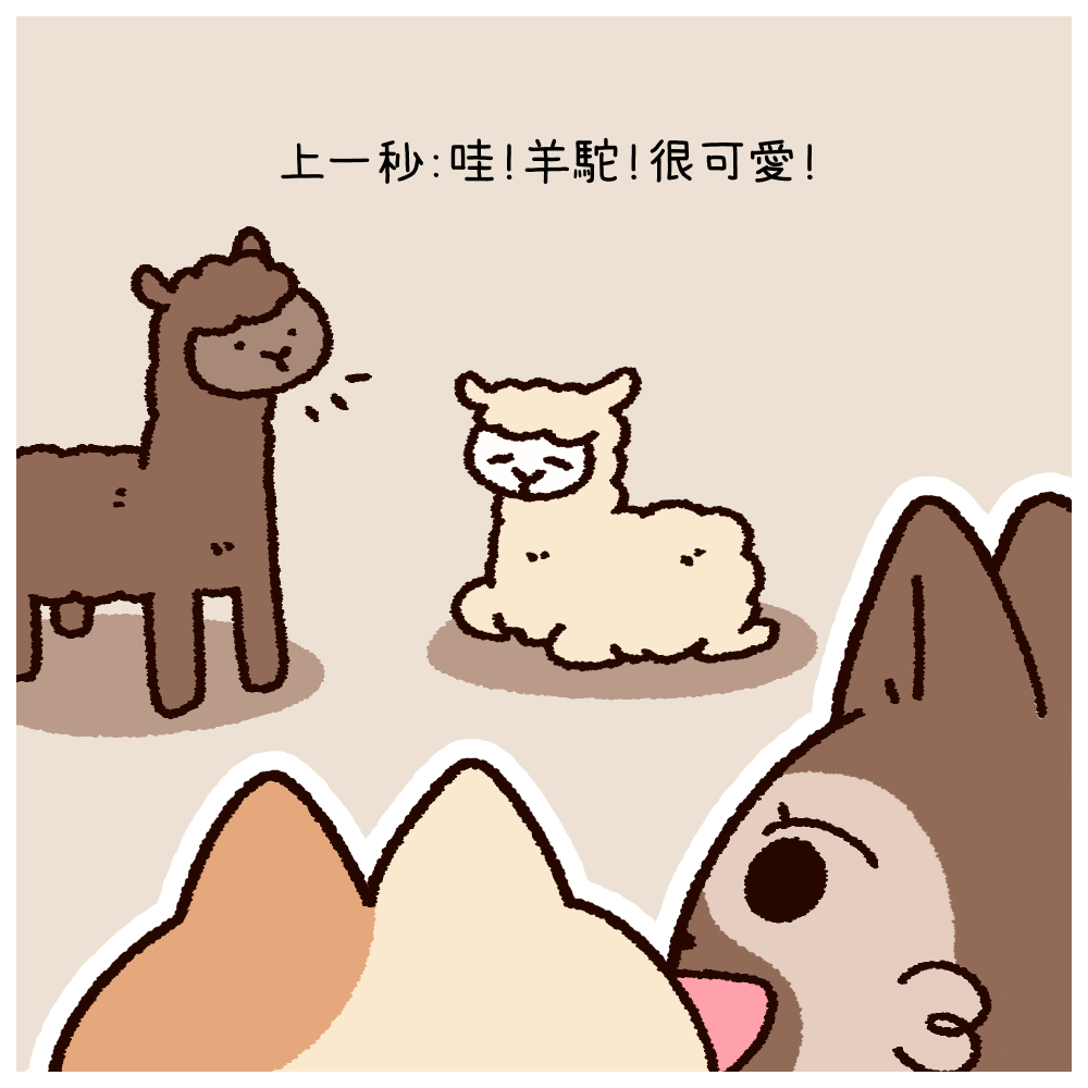 146538990069c16df7974d09.66037870-337909.png