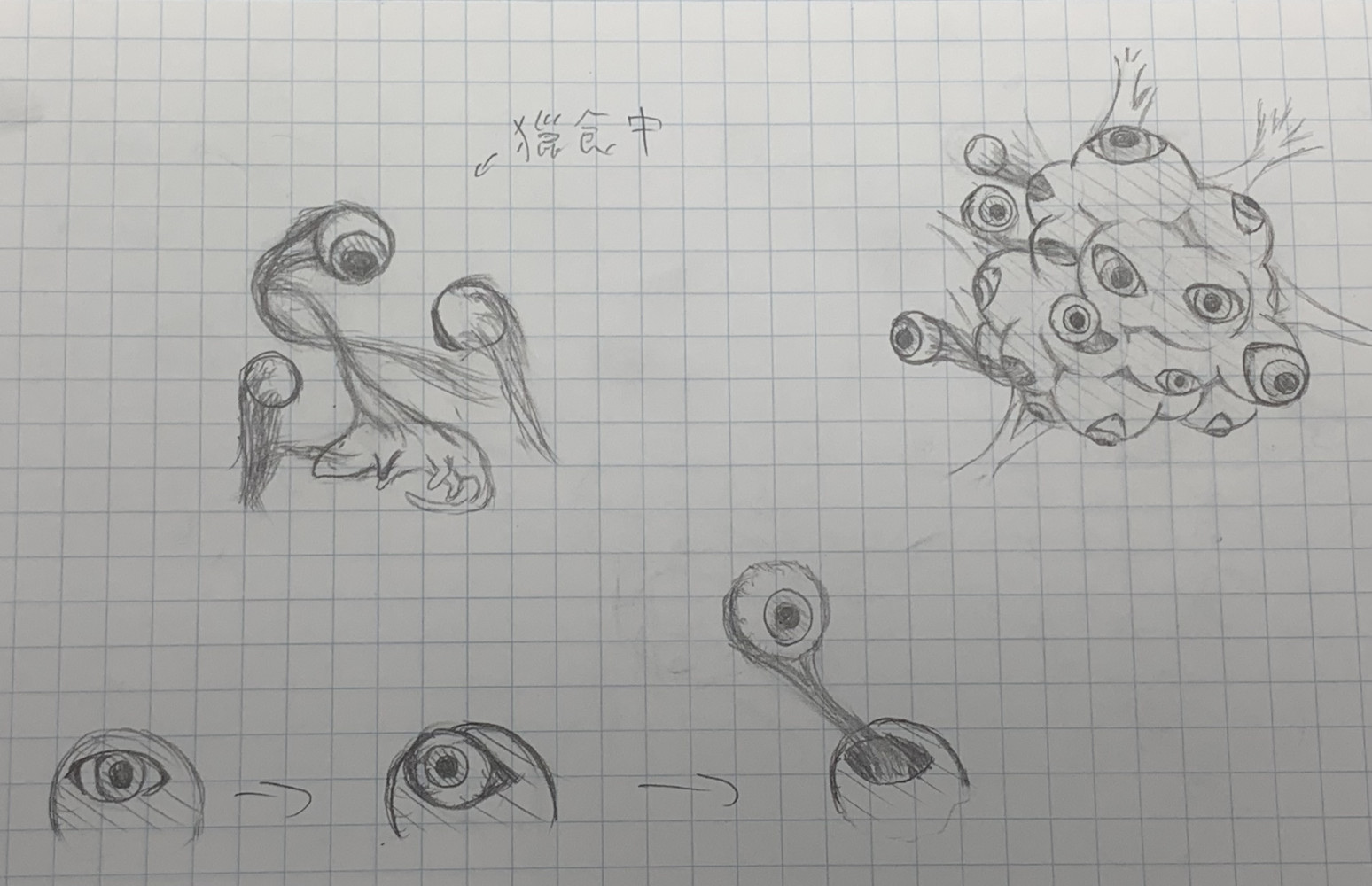 67721126869c4d4a68269a0.76531114-338196.jpeg