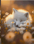 11550640266a418449e925a3.22084556-363007.gif