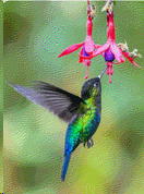 11913289996a445934e501f0.90409986-363007.gif