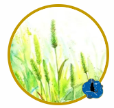 112051992068ea6d5d24efb8.84320047-41471.png