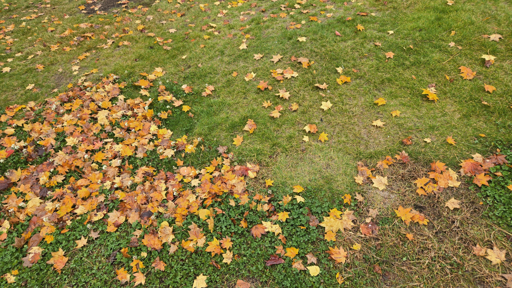 1203664620693a40051f20f6.36828093-45239.jpeg