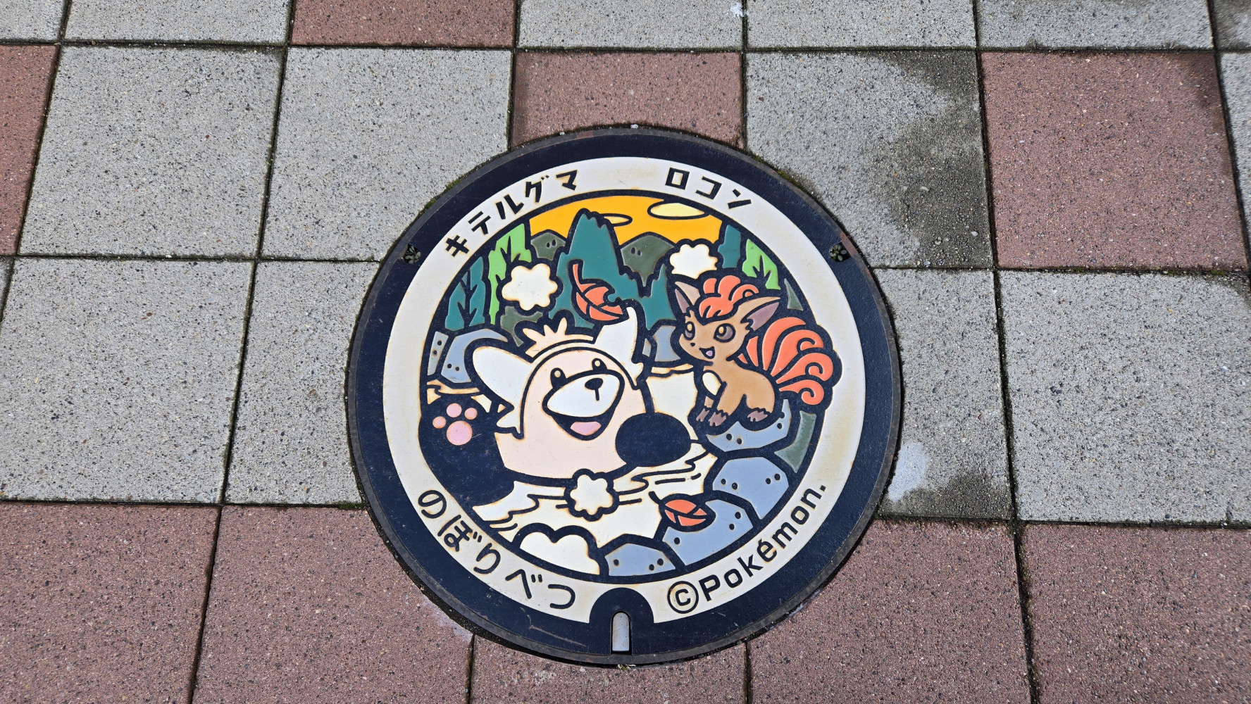 953474519693a3fe6152b82.70169343-45239.jpeg
