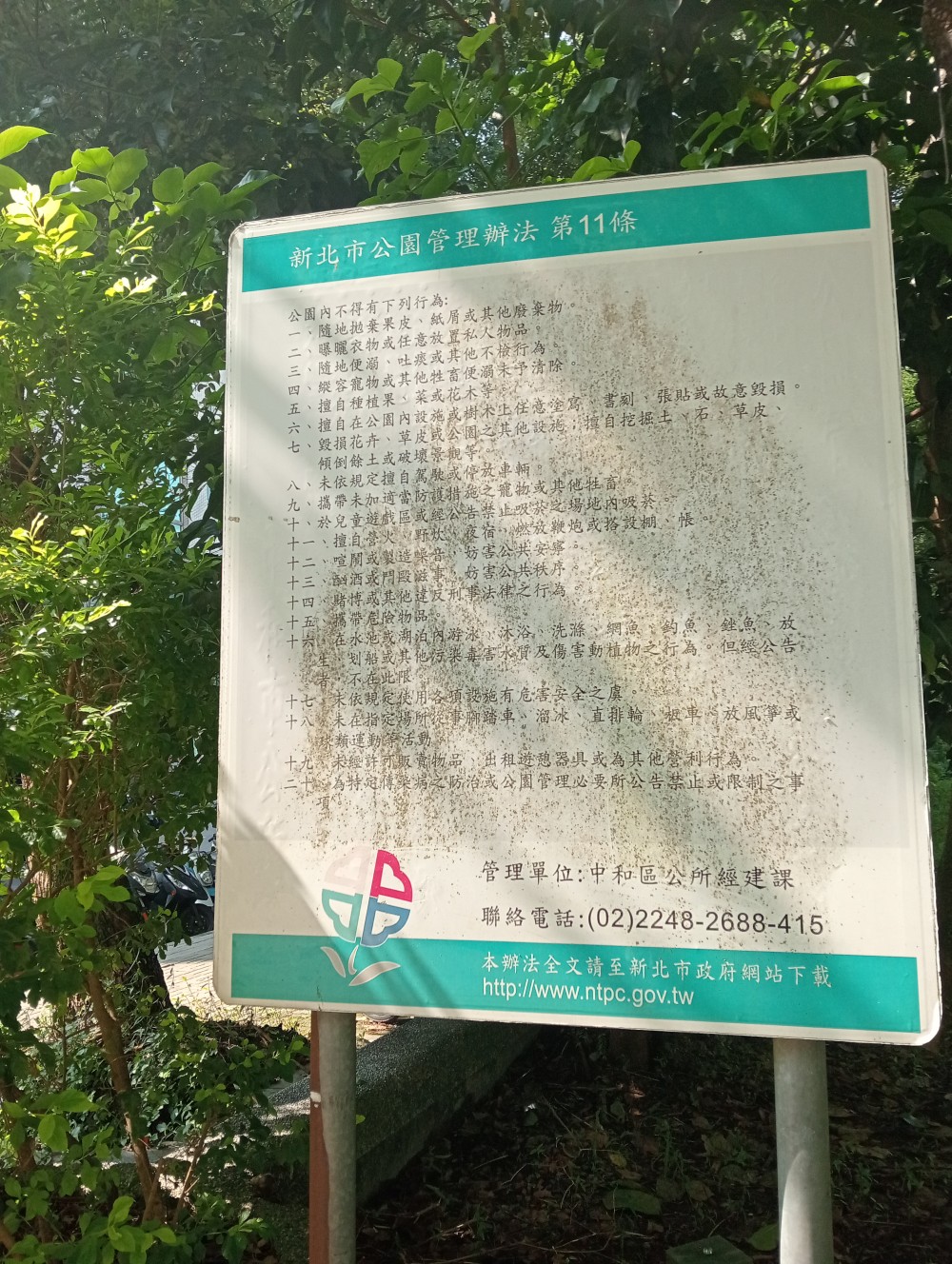 18981714826879d53c9a67b9.18903223-56527.jpeg