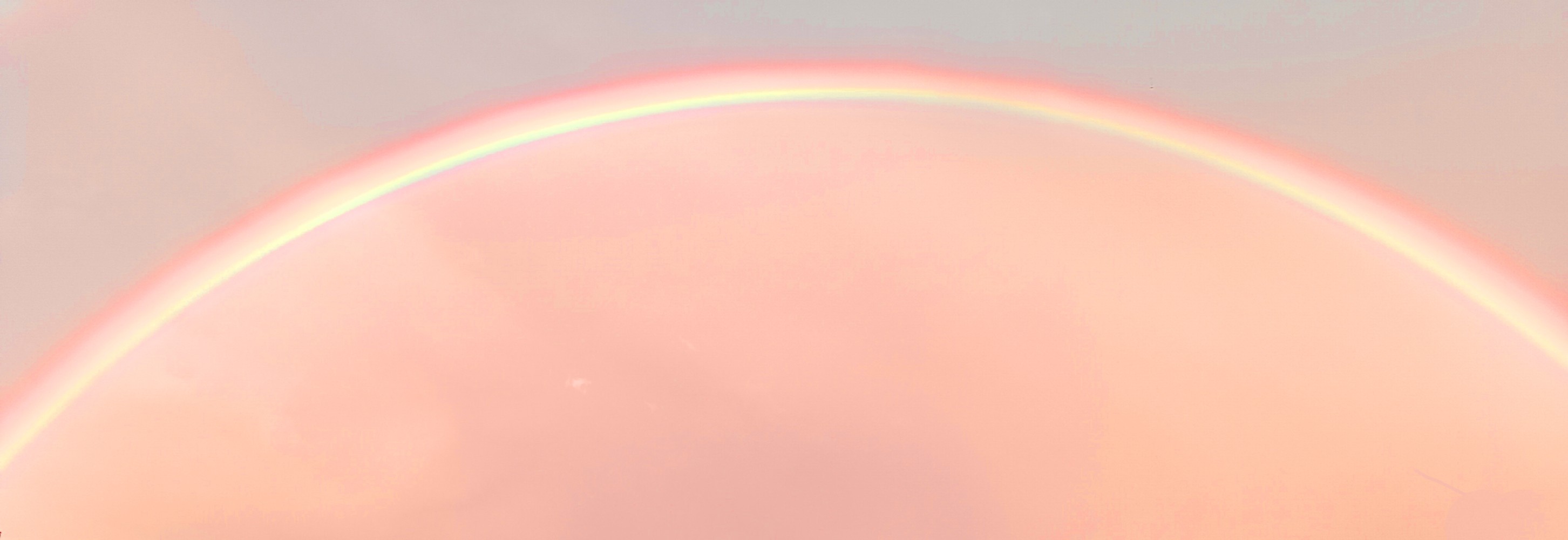 1485415686687ef3e8a5d513.49998119-78824.jpeg