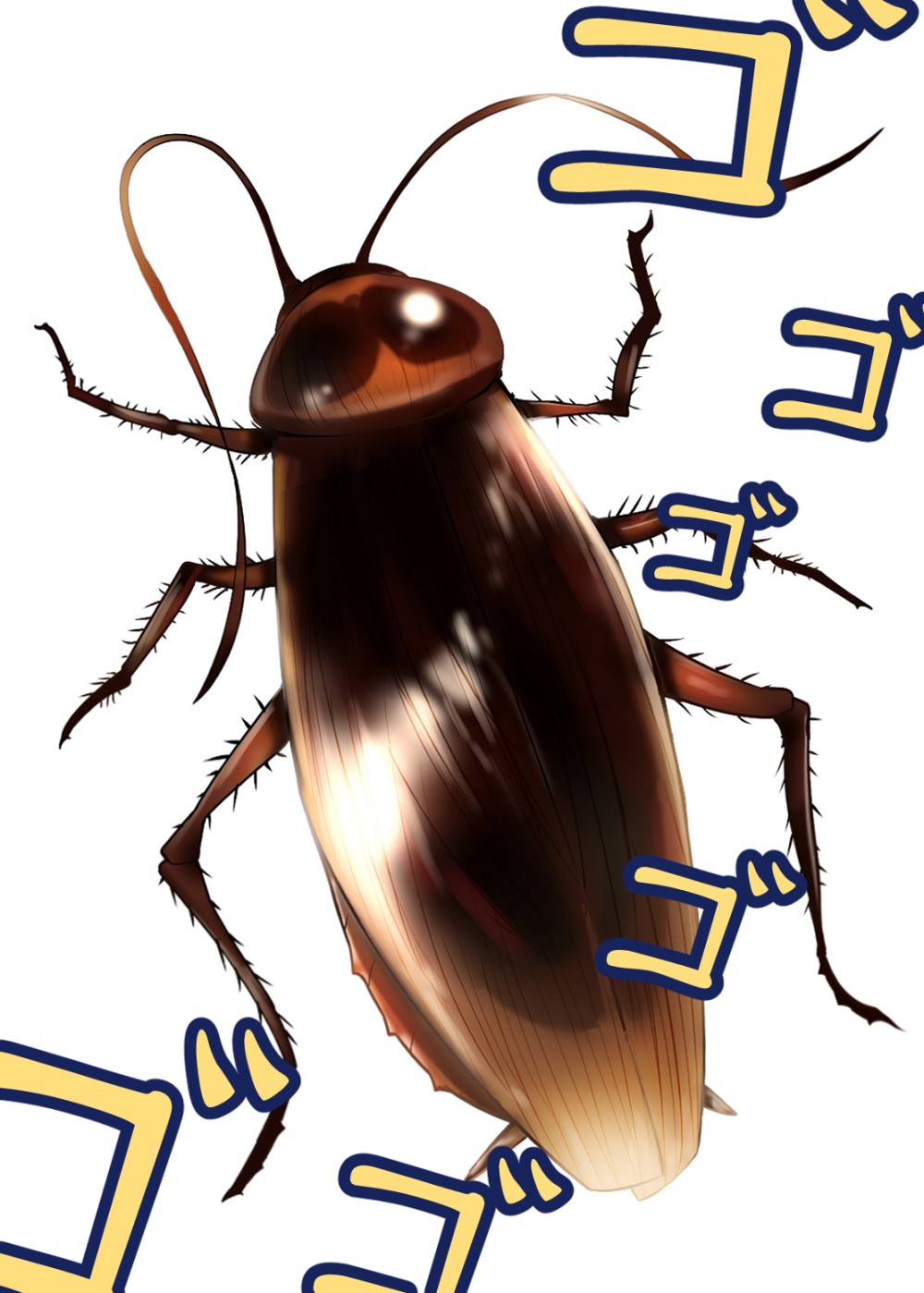 23415780868bdcd143807a6.62333739-87014.jpeg